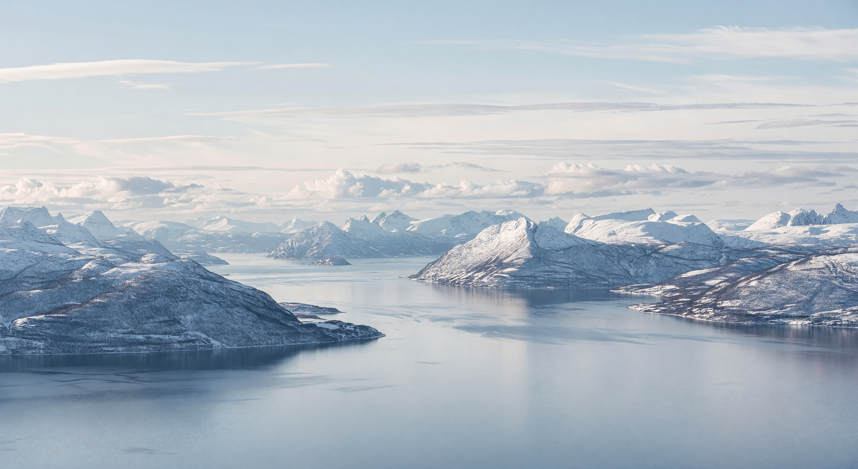 フィヨルドの全景 — ノルウェーのフィヨルドを望む壮大なパノラマ
